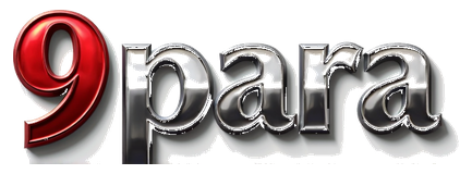 9para logo